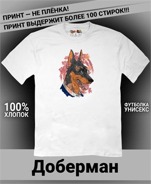 {{photo.Alt || photo.Description || 'Футболка Сэр Доберман'}}