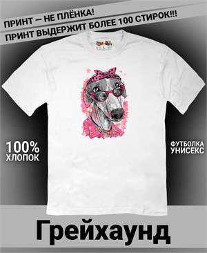 {{photo.Alt || photo.Description || 'Футболка Грейхаунд-модница'}}