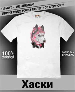 {{photo.Alt || photo.Description || 'Футболка Хаски-девочка в касухе'}}