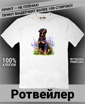 {{photo.Alt || photo.Description || 'Футболка Ротвейлер'}}