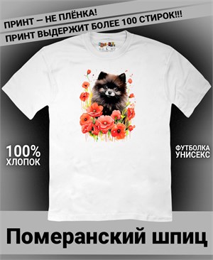 {{photo.Alt || photo.Description || 'Футболка Померанский шпиц чёрный'}}