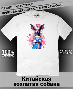 {{photo.Alt || photo.Description || 'Футболка Китайская хохлатая собака-1'}}