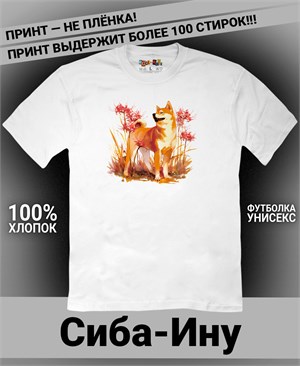 {{photo.Alt || photo.Description || 'Футболка Сиба-ину и паучьи лилии'}}