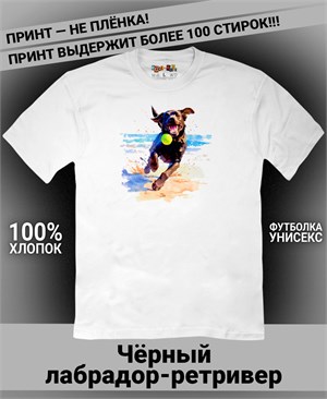 {{photo.Alt || photo.Description || 'Футболка Чёрный лабрадор-ретривер'}}