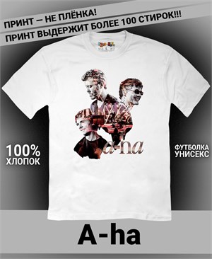 {{photo.Alt || photo.Description || 'Футболка A-ha-3'}}