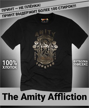 {{photo.Alt || photo.Description || 'Футболка Amity Affliction-5'}}