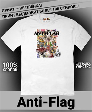 {{photo.Alt || photo.Description || 'Футболка Anti-Flag-1'}}