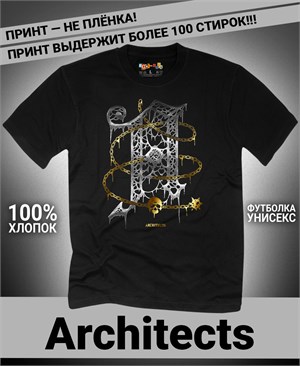 {{photo.Alt || photo.Description || 'Футболка Architects-8'}}