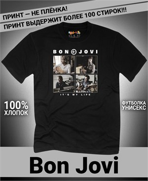 {{photo.Alt || photo.Description || 'Футболка Bon Jovi-5'}}