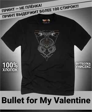 {{photo.Alt || photo.Description || 'Футболка Bullet for My Valentine-3'}}