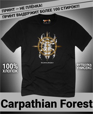 {{photo.Alt || photo.Description || 'Футболка Carpathian Forest-5'}}