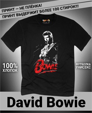 {{photo.Alt || photo.Description || 'Футболка David Bowie-1'}}