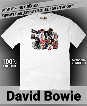 {{photo.Alt || photo.Description || 'Футболка David Bowie-2'}}