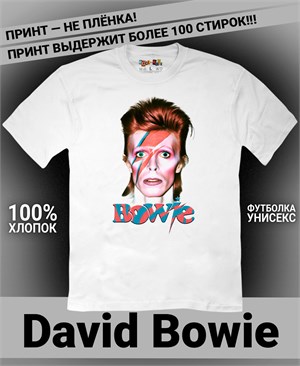 {{photo.Alt || photo.Description || 'Футболка David Bowie-3'}}