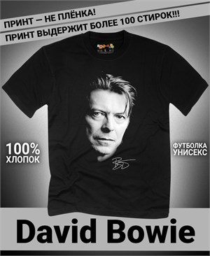 {{photo.Alt || photo.Description || 'Футболка David Bowie-4'}}
