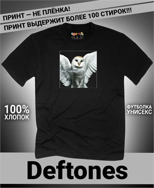 {{photo.Alt || photo.Description || 'Футболка Deftones-5'}}
