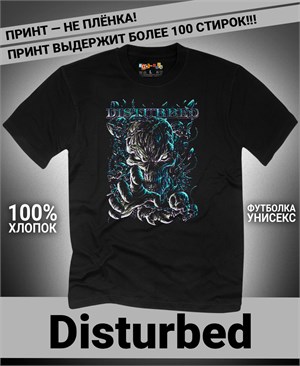 {{photo.Alt || photo.Description || 'Футболка Disturbed-12'}}