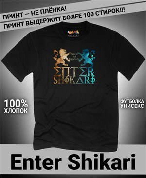 {{photo.Alt || photo.Description || 'Футболка Enter Shikari-3'}}