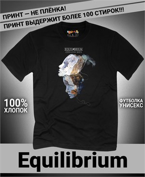 {{photo.Alt || photo.Description || 'Футболка Equilibrium-2'}}
