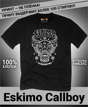 {{photo.Alt || photo.Description || 'Футболка Eskimo Callboy-1'}}
