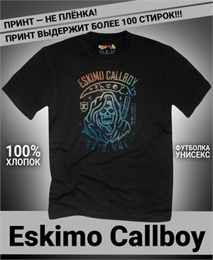 {{photo.Alt || photo.Description || 'Футболка Eskimo Callboy-3'}}