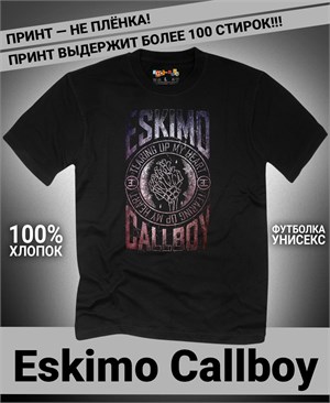 {{photo.Alt || photo.Description || 'Футболка Eskimo Callboy-4'}}
