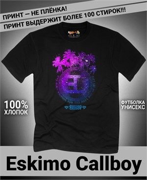 {{photo.Alt || photo.Description || 'Футболка Eskimo Callboy-8'}}