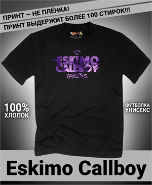 {{photo.Alt || photo.Description || 'Футболка Eskimo Callboy-12'}}