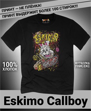 {{photo.Alt || photo.Description || 'Футболка Eskimo Callboy-18'}}