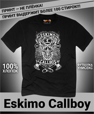 {{photo.Alt || photo.Description || 'Футболка Eskimo Callboy-20'}}
