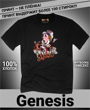 {{photo.Alt || photo.Description || 'Футболка Genesis-2'}}