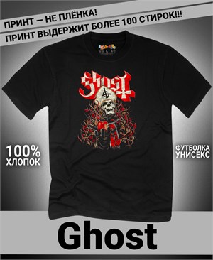 {{photo.Alt || photo.Description || 'Футболка Ghost-3'}}