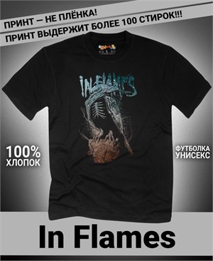 {{photo.Alt || photo.Description || 'Футболка In Flames-14'}}