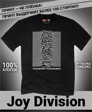 {{photo.Alt || photo.Description || 'Футболка Joy Division-2'}}