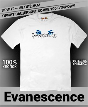{{photo.Alt || photo.Description || 'Футболка Evanescence-1'}}