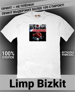 {{photo.Alt || photo.Description || 'Футболка Limp Bizkit-5'}}