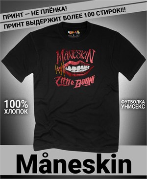 {{photo.Alt || photo.Description || 'Футболка Maneskin-1'}}