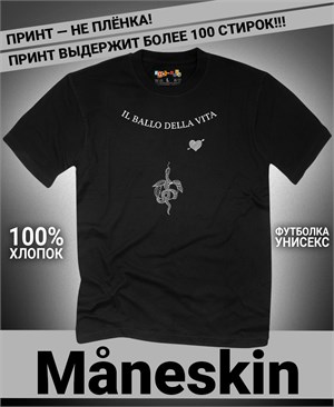 {{photo.Alt || photo.Description || 'Футболка Maneskin-4'}}