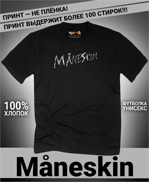 {{photo.Alt || photo.Description || 'Футболка Maneskin-6'}}