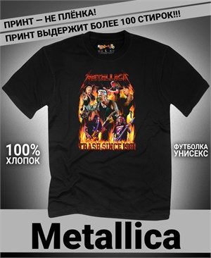 {{photo.Alt || photo.Description || 'Футболка Metallica-1-black-IP'}}