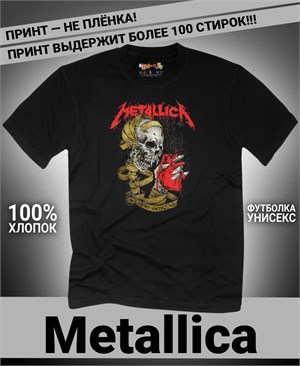 {{photo.Alt || photo.Description || 'Футболка Metallica-4'}}