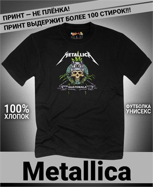 {{photo.Alt || photo.Description || 'Футболка Metallica-6'}}