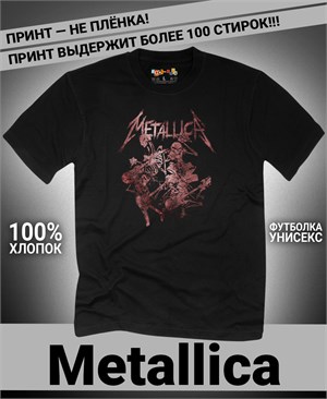 {{photo.Alt || photo.Description || 'Футболка Metallica-12'}}