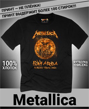 {{photo.Alt || photo.Description || 'Футболка Metallica-13'}}