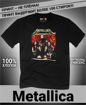 {{photo.Alt || photo.Description || 'Футболка Metallica-16'}}