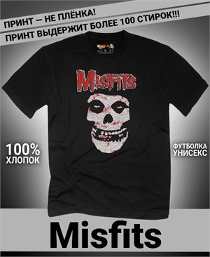 {{photo.Alt || photo.Description || 'Футболка Misfits-9'}}