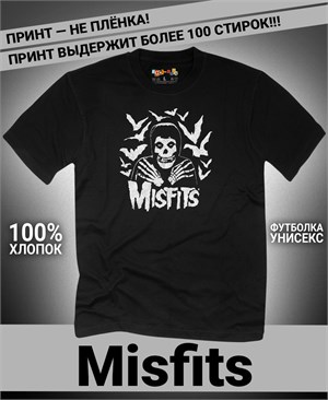 {{photo.Alt || photo.Description || 'Футболка Misfits-12'}}