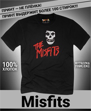 {{photo.Alt || photo.Description || 'Футболка Misfits-13'}}