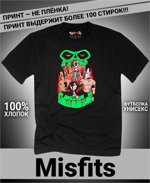 {{photo.Alt || photo.Description || 'Футболка Misfits-16'}}