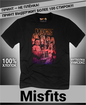 {{photo.Alt || photo.Description || 'Футболка Misfits-25'}}